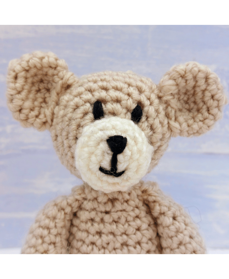 Wee Woolly Wonderfuls Teddy the Bear in Stylecraft Special Aran