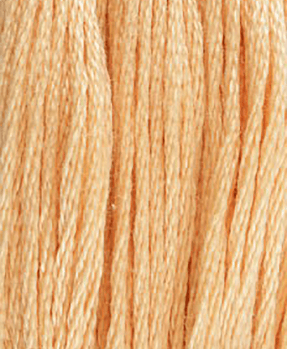 DMC Stranded Cotton - 3800 Shades