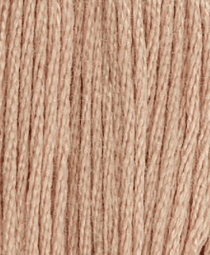 DMC Stranded Cotton - 3800 Shades